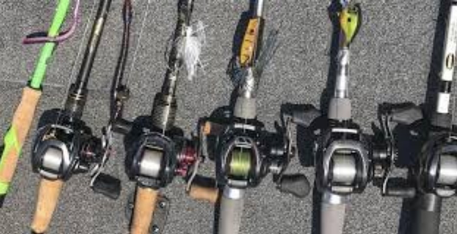 Best Rod Action For The Texas Rigging