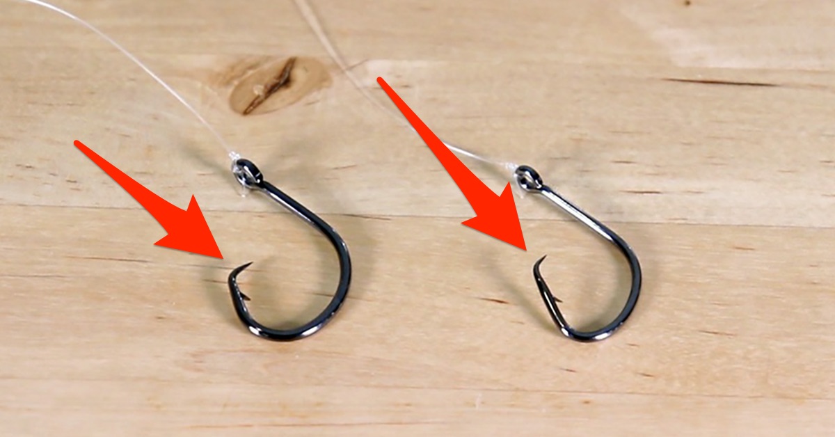 Do Fish Know To Avoid Hooks?